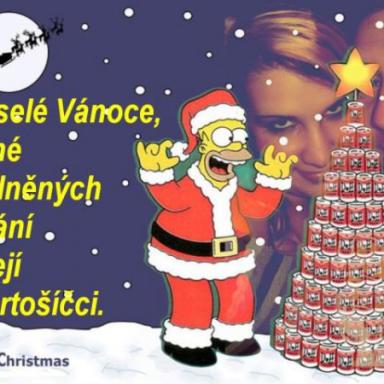 Krásné Vánoce kočeny:)