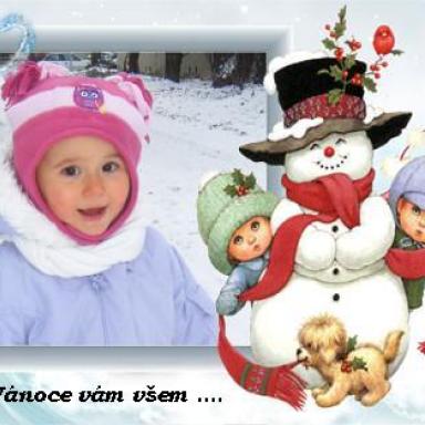 Krasne Vanoce vam vsem a PF 2010 ....