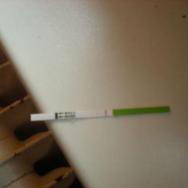 Ovulační bolesti ale test zřejmě negativní