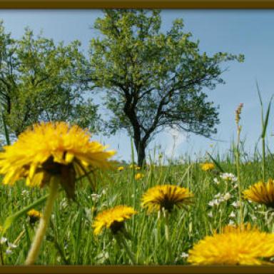Zářijky09- povídání červenec 2010