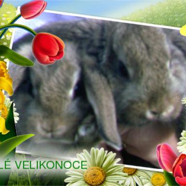 Krásné svátky