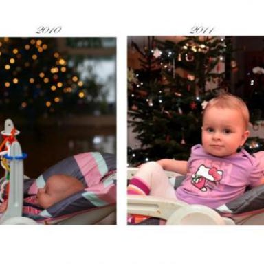 2010 / 2011