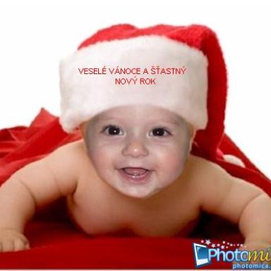 Veselé Vánoce a Šťastný Nový Rok 2011