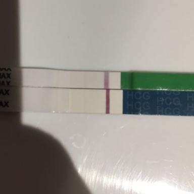 Tehotensky test wondfo